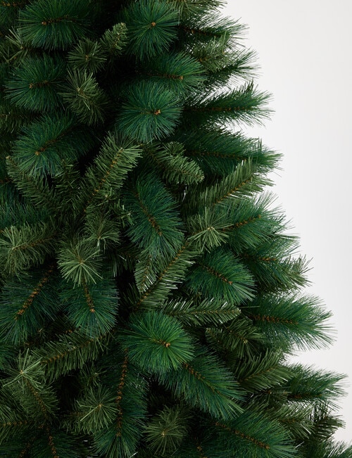 Christmas Shop Portland Pine Tree, 180cm/6ft product photo View 02 L