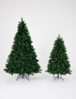 Christmas Shop Portland Pine Tree, 180cm/6ft product photo View 04 S