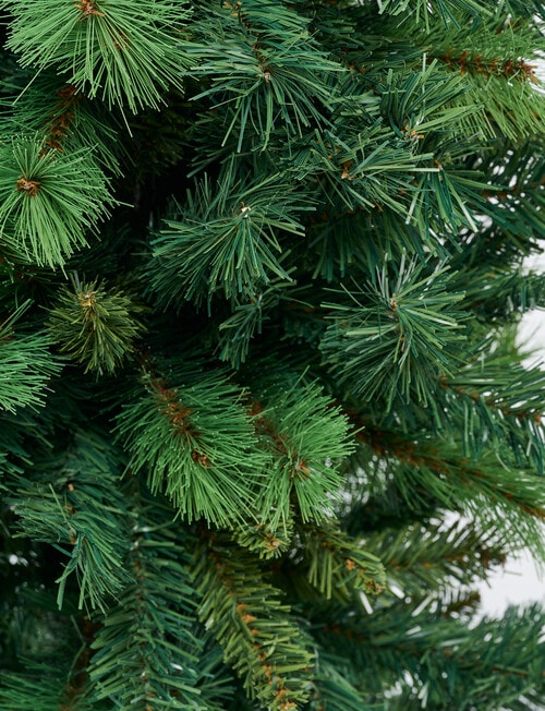 Christmas Shop Slim Portland Pine Tree, 180cm/6ft product photo View 02 L