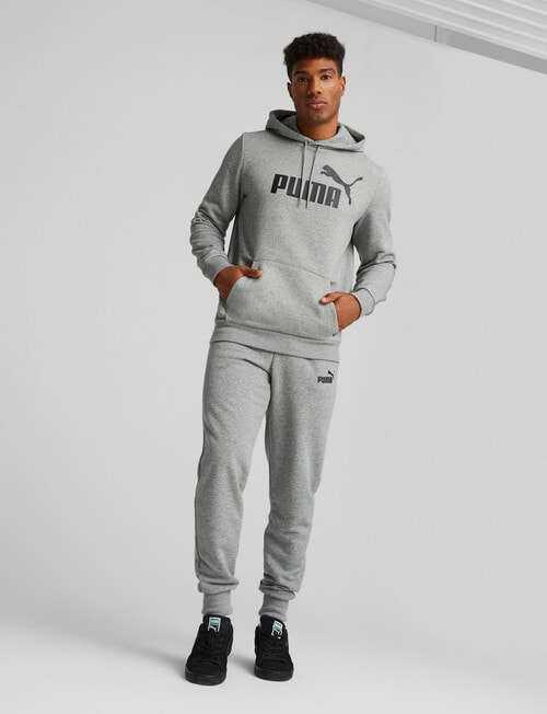 Puma Essential Full-Length Big Logo Hoodie, Grey product photo View 03 L