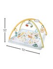 Fisher Price Simply Senses Newborn Gym product photo