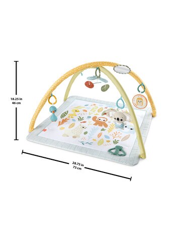 Fisher Price Simply Senses Newborn Gym product photo