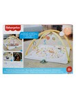 Fisher Price Simply Senses Newborn Gym product photo View 02 S