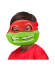Teenage Mutant Ninja Turtles Mask, Assorted product photo View 05 S