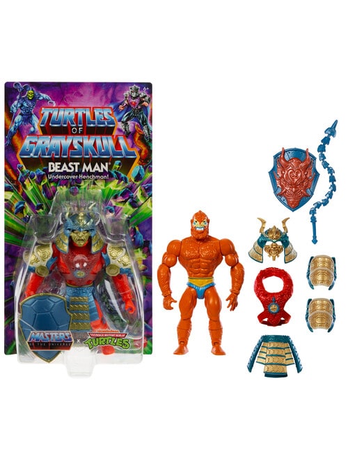 Masters of the Universe Turtles of Grayskull 5.5" in Figures, Assorted product photo View 08 L