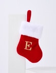 Christmas Shop Mini Stocking Alphabet E product photo