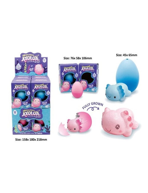 Growing Axolotl, Assorted product photo