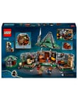 LEGO Harry Potter Harry Potter Hagrid's Hut: An Unexpected Visit, 76428 product photo View 10 S