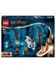 LEGO Harry Potter Forbidden Forest: Magical Creatures, 76432 product photo View 02 S