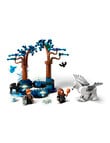 LEGO Harry Potter Forbidden Forest: Magical Creatures, 76432 product photo View 05 S