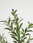 Tilly Home Faux Olive Tree product photo View 03 S