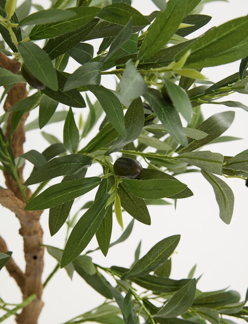 Tilly Home Faux Olive Tree product photo View 04 L