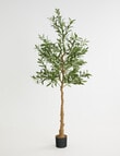 Tilly Home Faux Olive Tree product photo View 06 S