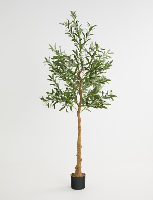 Tilly Home Faux Olive Tree product photo View 06 L