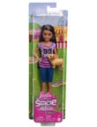 Barbie Stacie To The Rescue Dolls, Assorted product photo View 02 S