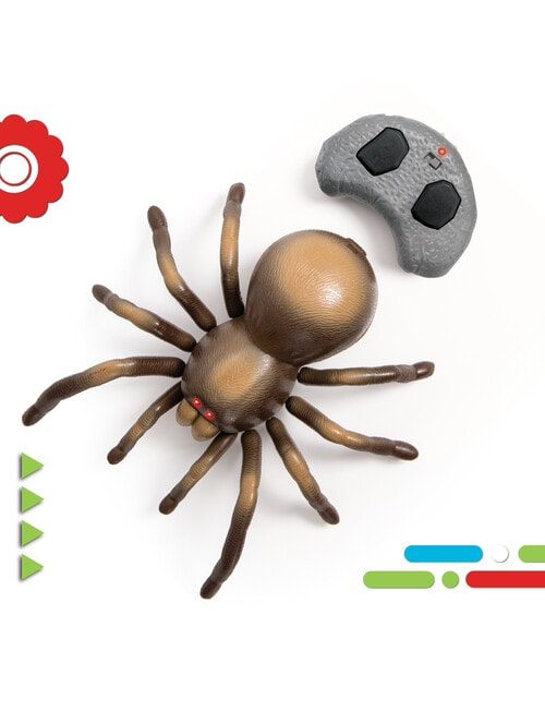 Discovery RC Tarantula Spider product photo View 06 L