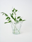 Tilly Home Grace Glass Vase, Small product photo