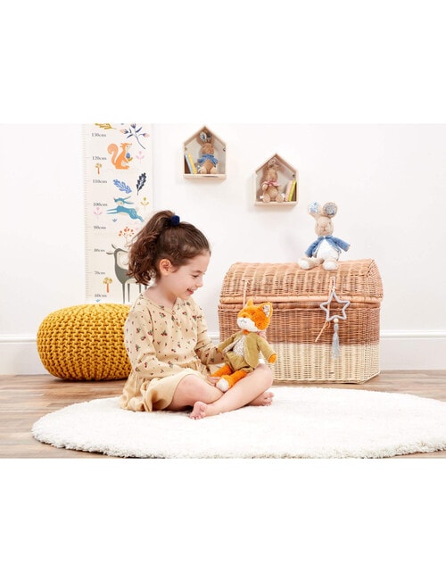 Peter Rabbit Deluxe Mr Tod product photo View 02 L