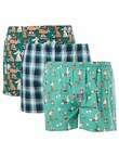 Mitch Dowd Doggy Woven Boxer, 3-Pack, Blue & Green product photo