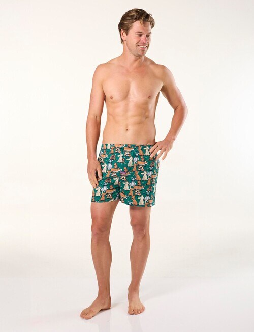 Mitch Dowd Doggy Woven Boxer, 3-Pack, Blue & Green product photo View 05 L