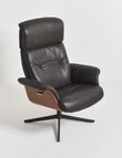 LUCA Furniture Jackson Leather Swivel Recliner Chair, Ash product photo