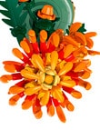 LEGO Botanicals Chrysanthemum, 10368 product photo View 05 S