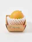 IS GIFT Squishy Mango product photo