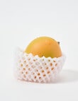 IS GIFT Squishy Mango product photo View 03 S
