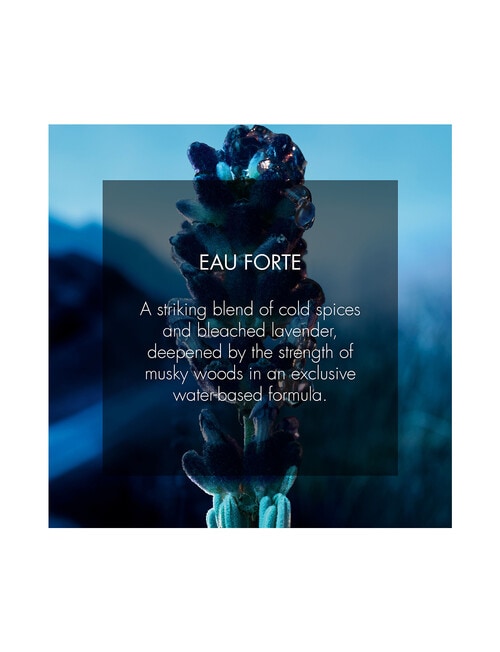 Dior Sauvage Eau Forte Parfum 60ml product photo View 03 L