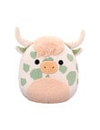 Squishmallows 19cm Soft Toy, Series 20, Squad A, Assorted product photo View 06 S