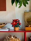 LEGO Botanicals Poinsettia, 10370 product photo View 09 S