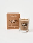 Home Fusion Candle, Series 003, Juniper Berry product photo
