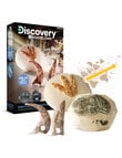 Discovery Dino Fossils Unearthed Excavation Kit, 2-Pack product photo