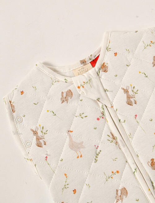 Little Bundle Swaddle 2.5T, Meadow, 3-6m product photo View 03 L