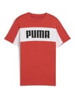Puma Essentials Block Short Sleeve Tee, Red product photo
