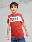Puma Essentials Block Short Sleeve Tee, Red product photo View 03 S