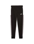 Puma Essentials Block Trackpant, Black product photo