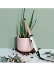Remington Botanicals Curling Wand, CI5860AU product photo View 05 S
