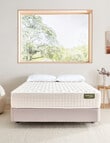 Naturesleep Firm Feel Bedset product photo
