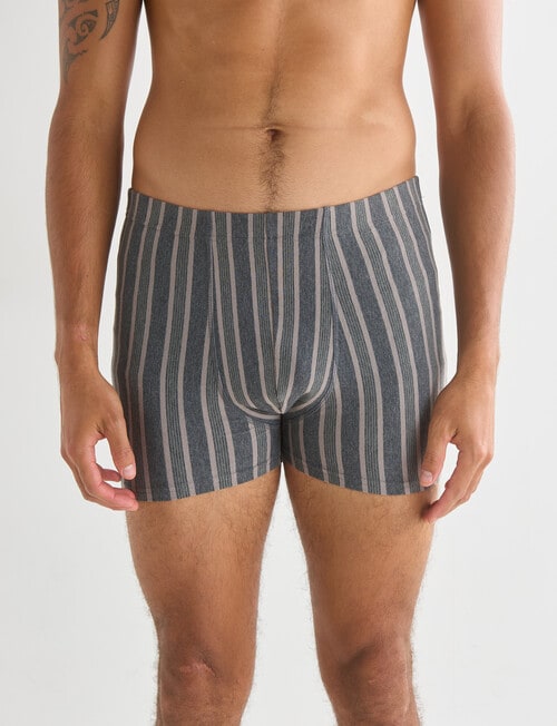 Chisel Verticle Stripe Trunk, 2-Pack, Grey, Beige & Green product photo