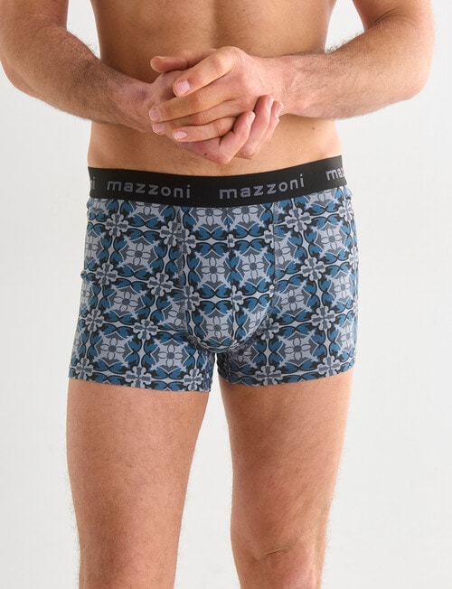 Mazzoni Trunk, 2-Pack, Blue & Grey Tile Print & Plain Black product photo