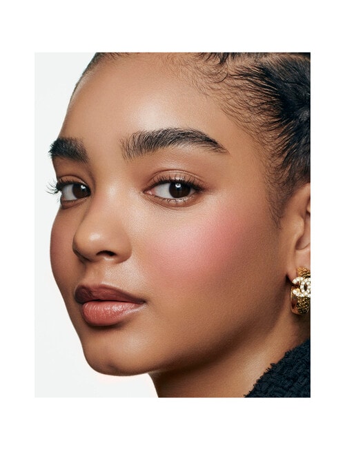CHANEL JOUES CONTRASTE Powder Blush product photo View 05 L