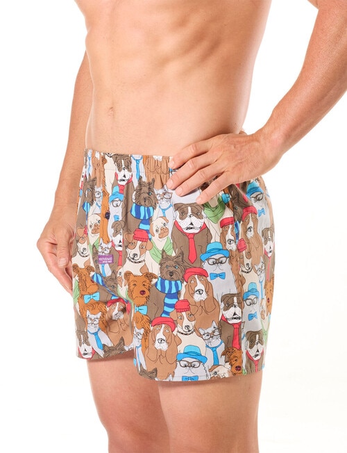 Mitch Dowd Dawgs & Kittens Cotton Boxer Shorts, Brown product photo View 03 L