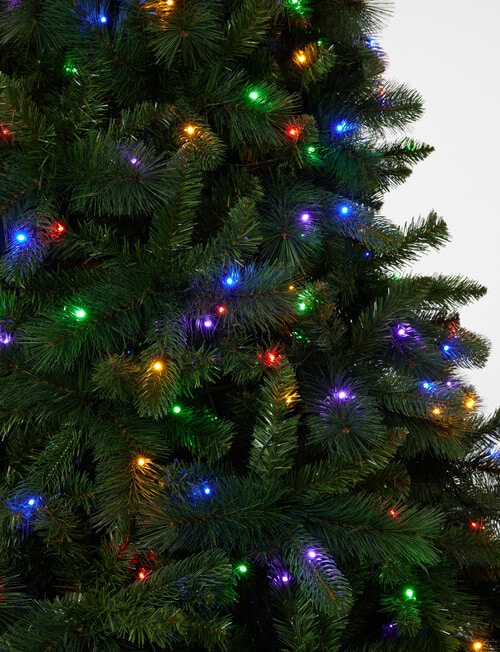 Christmas Shop Swiss Pine Pre-Lit Tree, Dual Lights, 213cm7ft product photo View 06 L