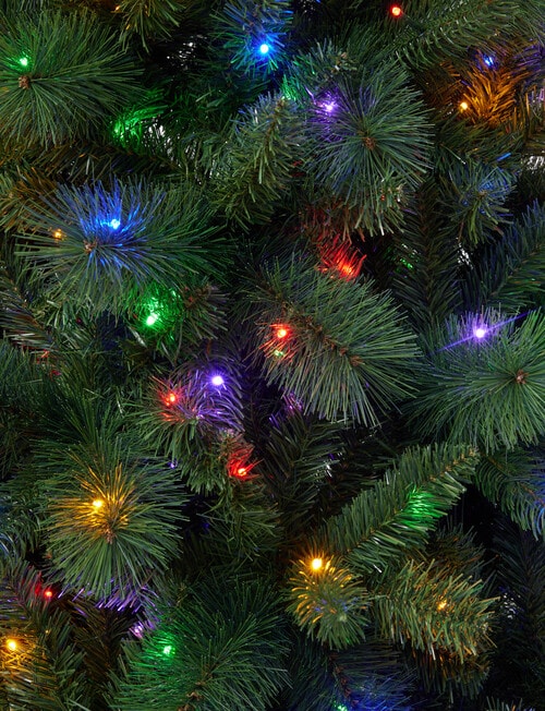 Christmas Shop Swiss Pine Pre-Lit Tree, Dual Lights, 274cm/9ft product photo View 06 L