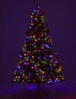 Christmas Shop Queenstown Pine Instant Pre-Lit Tree, Dual Lights with 10 Functions, 210cm/7ft product photo View 04 S