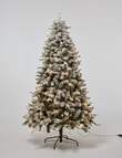 Christmas Shop Oxford Spruce Pre-Lit & Frosted Tree, 210cm/7ft product photo