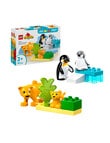 LEGO DUPLO Wild Animal Families: Penguins & Lions, 10442 product photo
