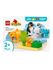 LEGO DUPLO Wild Animal Families: Penguins & Lions, 10442 product photo View 02 S