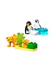 LEGO DUPLO Wild Animal Families: Penguins & Lions, 10442 product photo View 03 S
